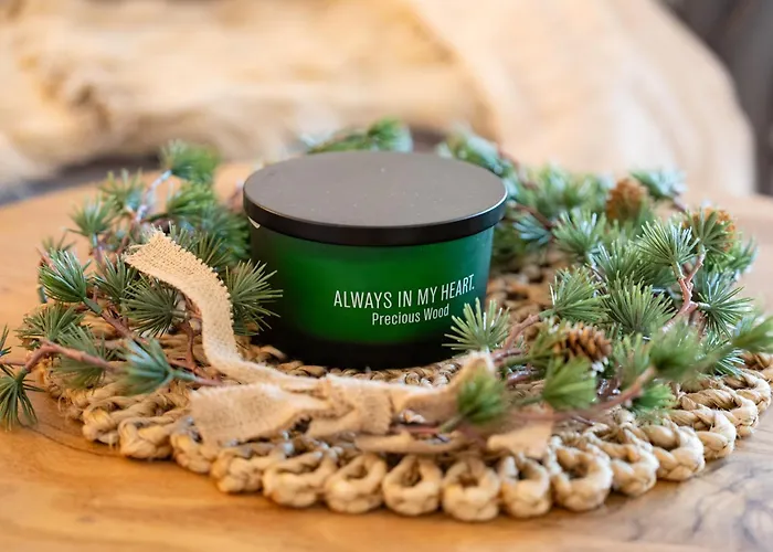 A&y Alpenchique Apartment *